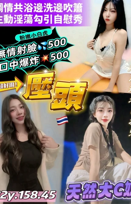 桃園定點茶-壓頭/158/45/22/C