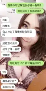 雲林定點茶-莎莎/165/48/25/D