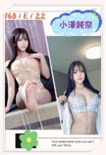 台北外送茶-小澤純奈/163/?/22/E