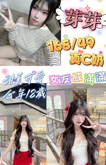 台北定點茶-芽芽/168/49/18/C