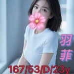 台南外送茶-羽菲/167/53/23/D