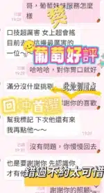 台南定點茶-巨峰葡萄/165/53/?/G