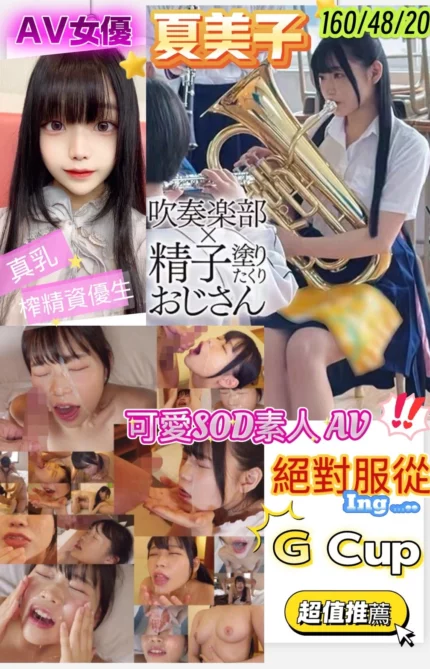 新竹定點茶-夏美子/160/48/20/G