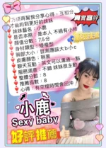 台南定點茶-小鹿/160/46/25/D