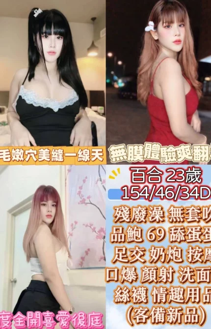 彰化定點茶-百合/154/46/23/D