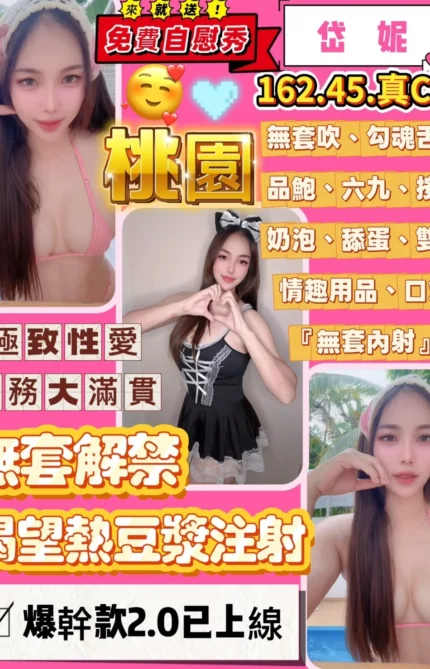 桃園定點茶-岱妮/162/45/21/C