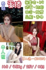 台北定點茶-蛋捲/160/45/25/C