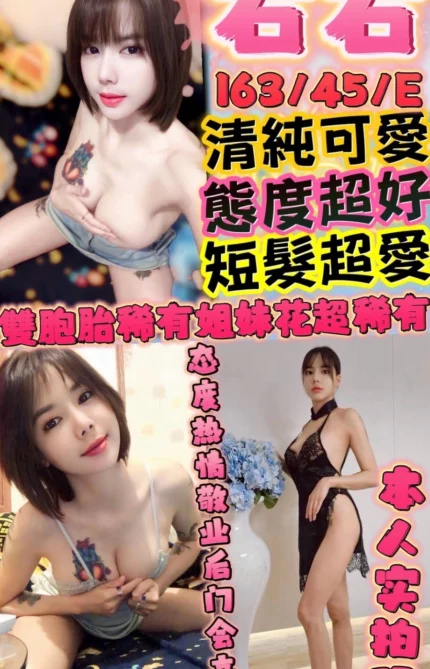 新竹定點茶-右右/163/45/22/E