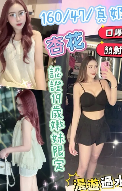 南投定點茶-杏花/160/47/19/D