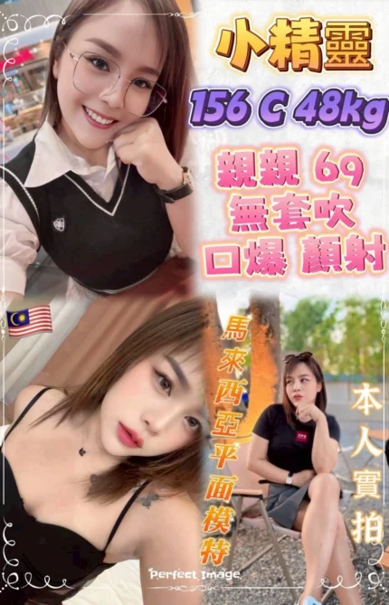 台北定點茶-小精靈/156/48/21/C