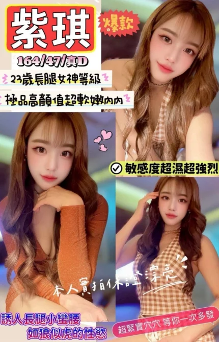 新竹定點茶-紫琪/164/47/23/D