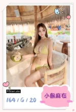 台北外送茶-小島麻衣/164/?/20/G