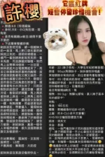 桃園定點茶-許櫻/160/44/18/E