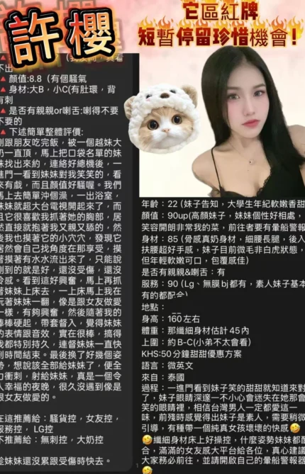 桃園定點茶-許櫻/160/44/18/E