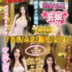 新竹定點茶-芸妮/158/42/21/E