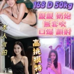 新北定點茶-迪奧/168/50/22/D