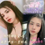 嘉義定點茶-薇麗/165/50/24/C