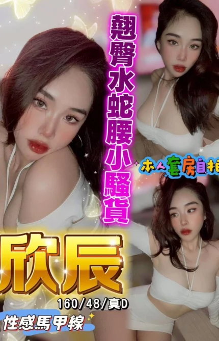 台中定點茶-欣辰/160/48/?/D