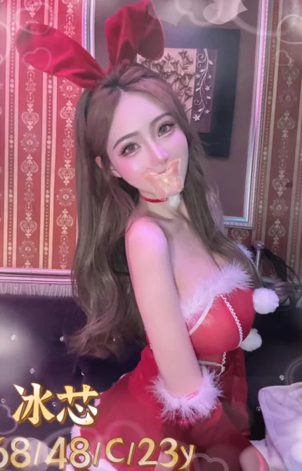 台中外送茶-冰芯/168/48/23/C