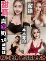 台南定點茶-甜寶/163/48/20/C