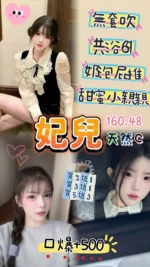 桃園定點茶-妃兒/160/48/23/C