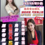 桃園定點茶-朴智秀/163/48/22/D