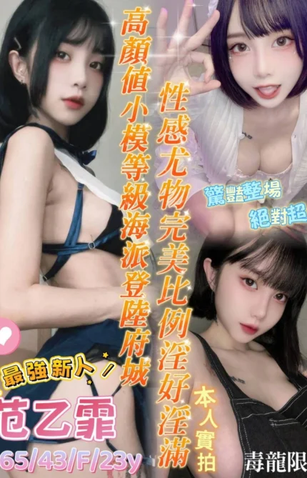 台南定點茶-范乙霏/165/43/23/F