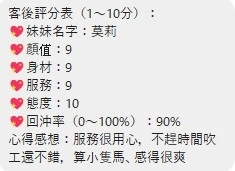 桃園定點茶-莫莉/154/45/20/D