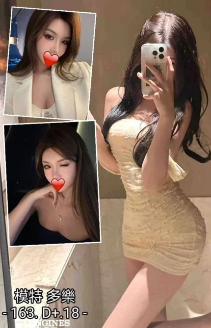 台中外送茶-多樂/163/?/18/D