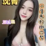 新北定點茶-沈青/155/47/?/E