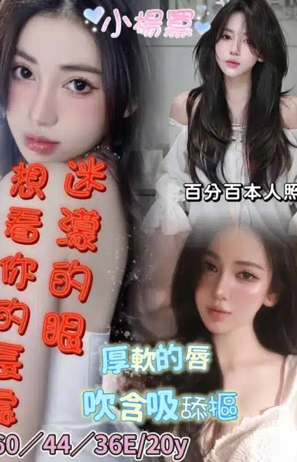 台南定點茶-小楊冪/160/44/20/E