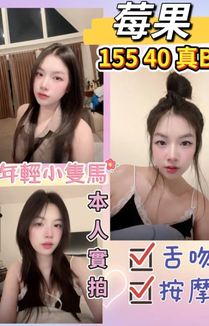 台北定點茶-莓果/155/40/?/B