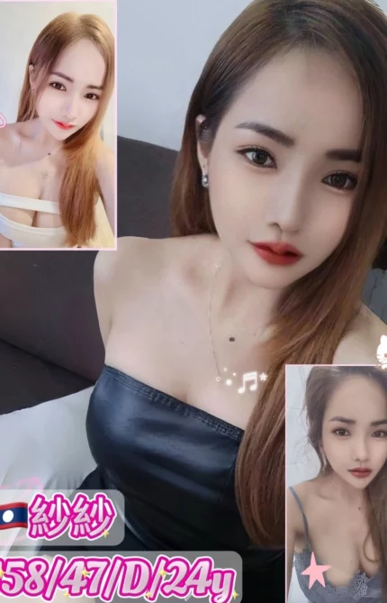 新北定點茶-紗紗/158/47/24/D