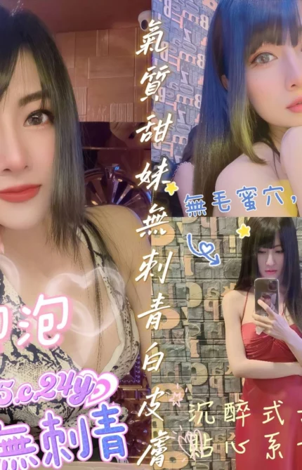 嘉義定點茶-泡泡/160/45/24/C