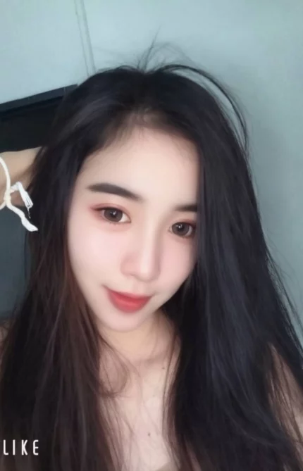 屏東定點茶,外送茶-甜甜圈/156/50/?/D