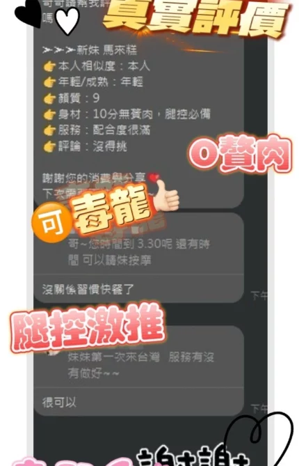 桃園定點茶-馬來糕/162/43/24/C