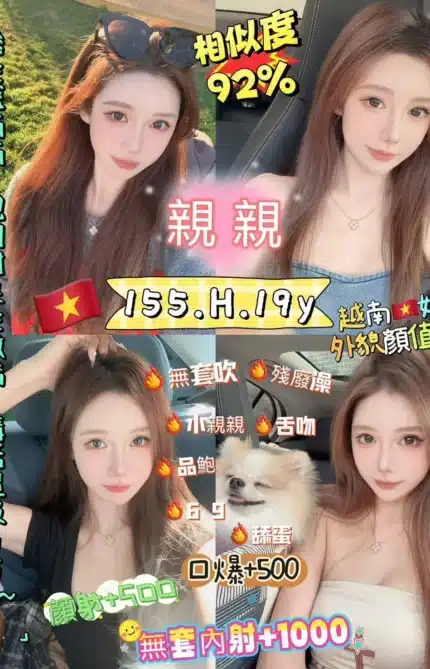 新北定點茶-親親/155/50/19/H