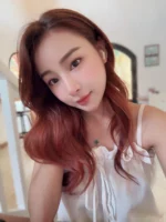 台北定點茶-夢幻星/157/49/23/D