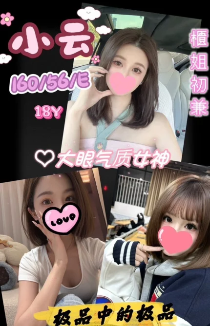 台中定點茶-小云/160/56/18/E