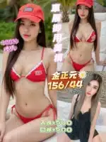 高雄定點茶-金正元/156/44/25/C