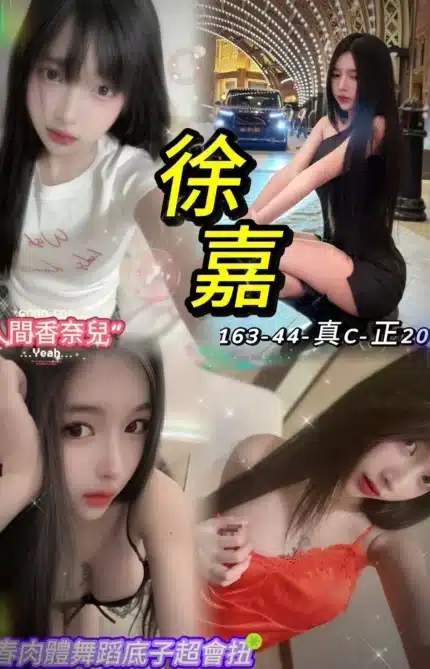 台北定點茶-徐嘉/163/44/20/C