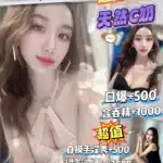 桃園定點茶-馬來糕/162/43/24/C