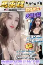 桃園定點茶-馬來糕/162/43/24/C