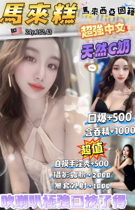 桃園定點茶-馬來糕/162/43/24/C