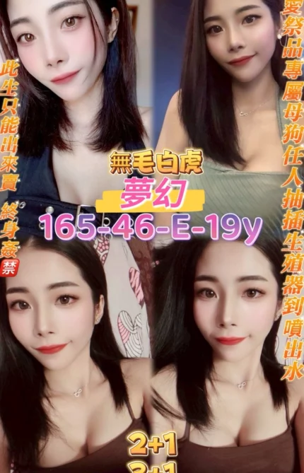 桃園定點茶-夢幻/165/46/19/E