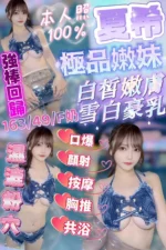 新竹定點茶-夏希/163/49/?/F