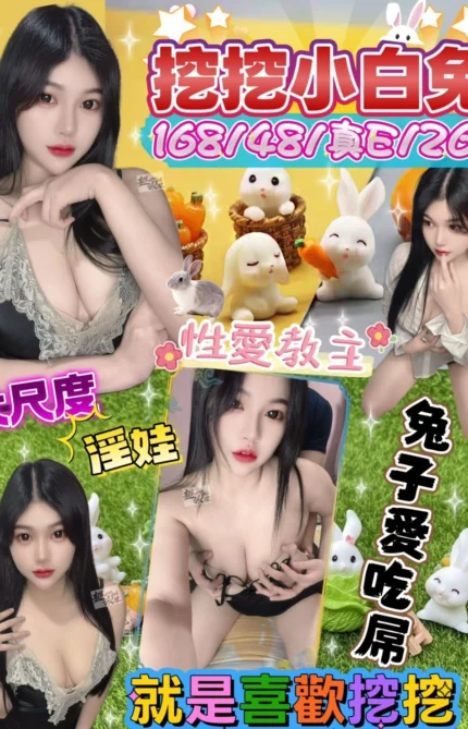 台北定點茶-挖挖小白兔/168/48/26/E