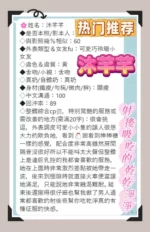 台南定點茶-沐芊芊/158/43/20/D