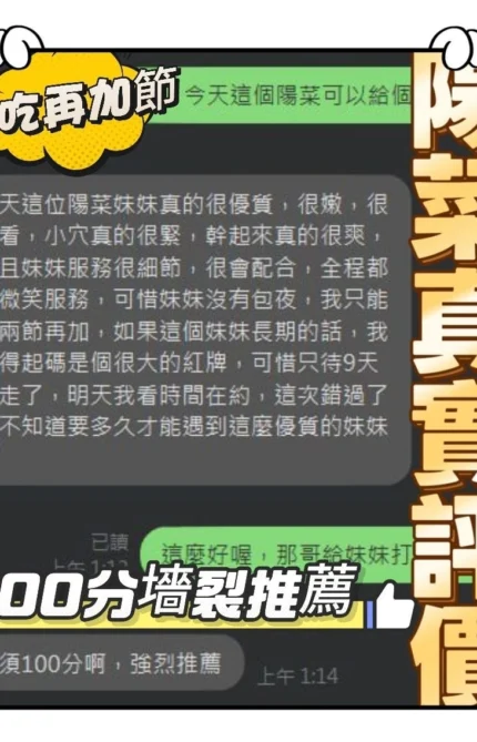 南投定點茶-陽菜/155/47/20/E