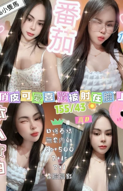 新竹定點茶-番茄/155/43/19/D